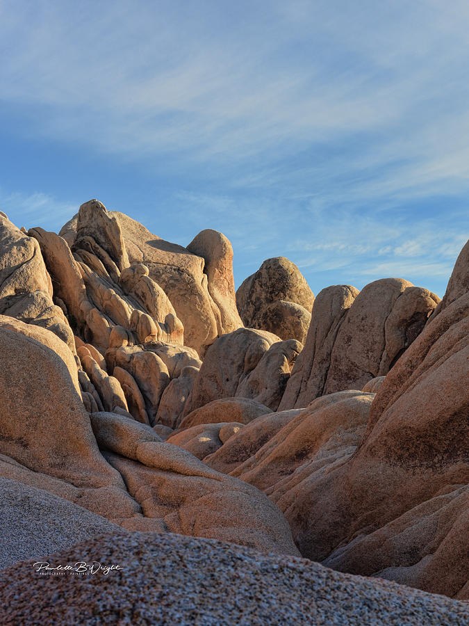 Rock Formations - Joshua Tree Photograph by Paulette B Wright