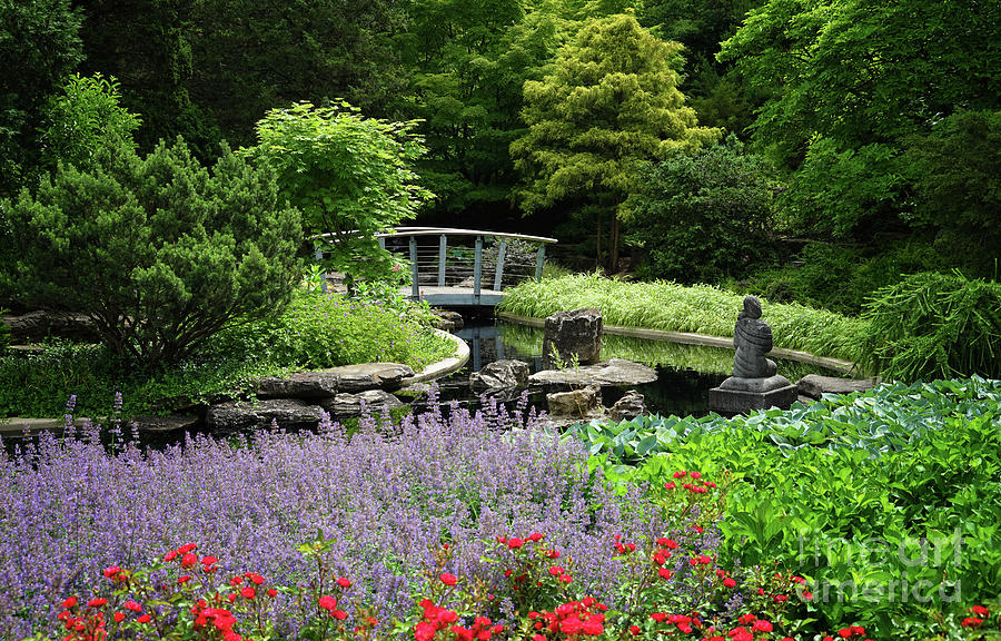 Rock Garden Peace And Beauty Photograph