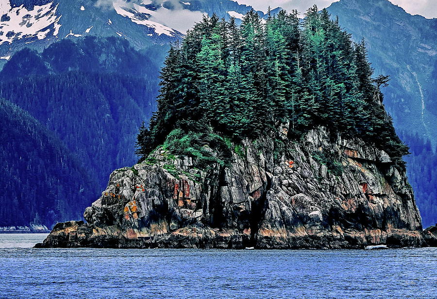 Rock Island Kenai Fjords Alaska Photograph by Russ Harris