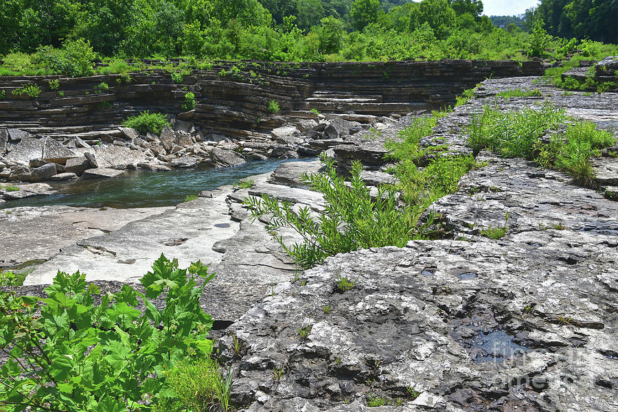 Rock Island State Park 14 Photograph by Phil Perkins