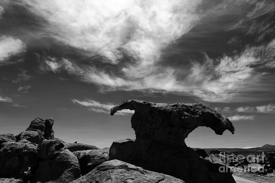Rock Mushroom in Black and White North Lipez Bolivia Photograph by James Brunker
