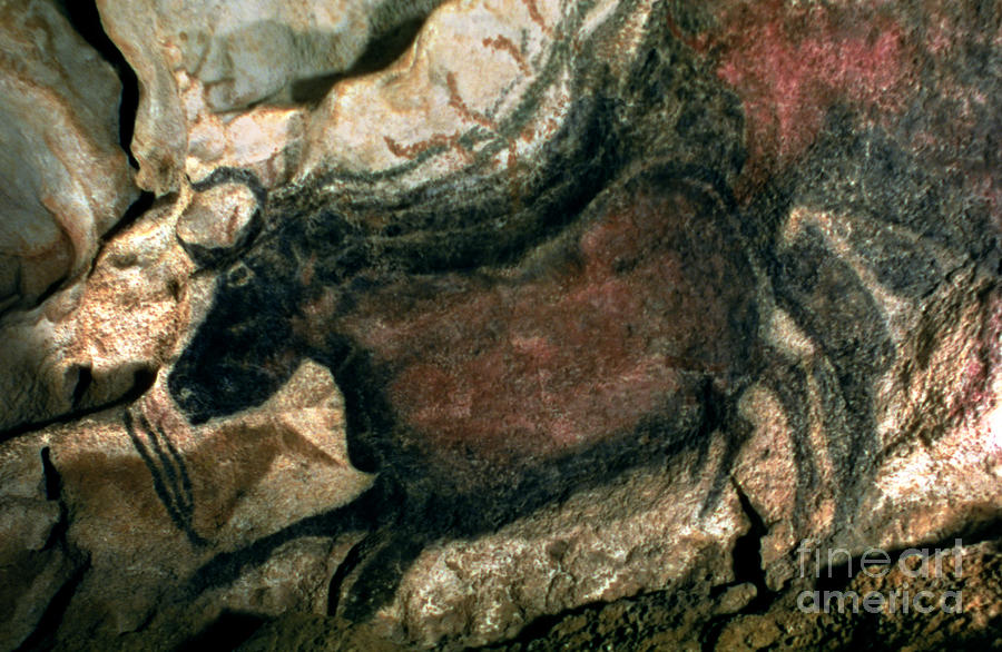 Prehistoric Painting - Rock Painting Of A Black Bull, C.17000 Bc by Prehistoric