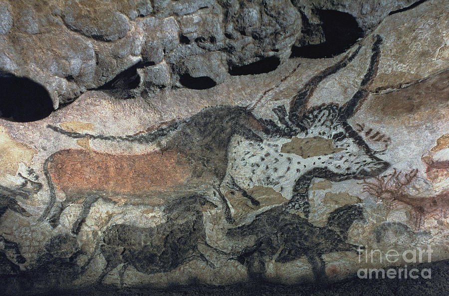 Prehistoric Painting - Rock Painting Of A Bull And Horses, C.17000 Bc by Prehistoric