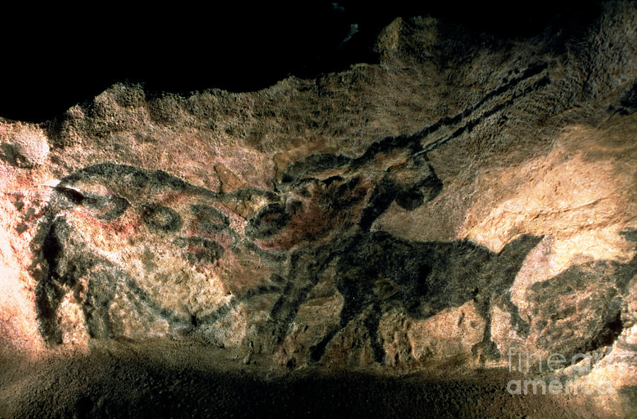 Prehistoric Painting - Rock Painting Of A Horned Animal, C.17000 Bc by Prehistoric