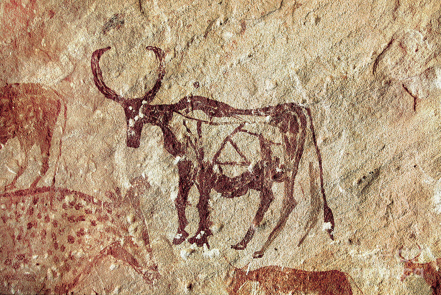 Africa Painting - Rock Painting: Representation Of A Cervid. Cave Of Tadrart Acacus Libya by Prehistoric