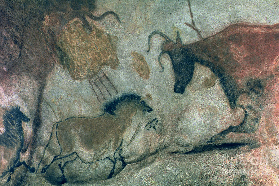 Prehistoric Painting - Rock Painting Showing A Horse And A Cow, C.17000 Bc by Prehistoric