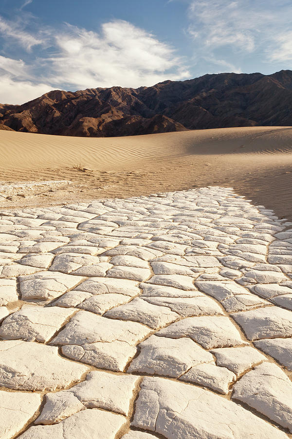 Rock Patterns In Desert With Distant Photograph by David Clapp