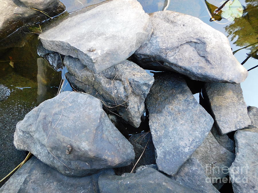 Rock Pile by Barbra Telfer Rock Pile by Barbra Telfer