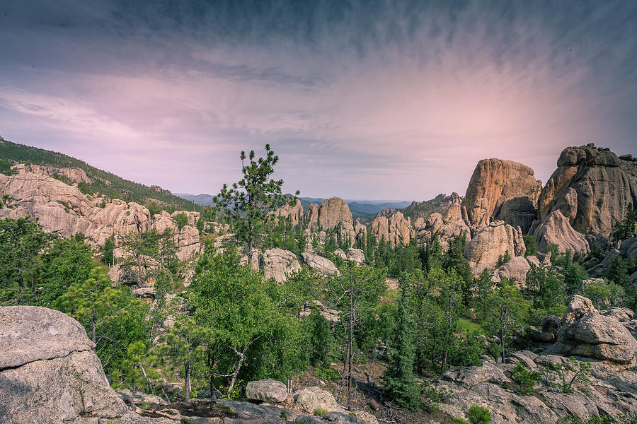Rock Scaling Black Hills Photograph by Chris Spencer
