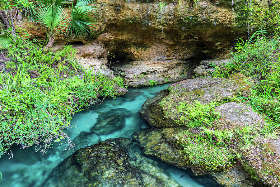 Rock Springs Spring Head Photograph by Stefan Mazzola