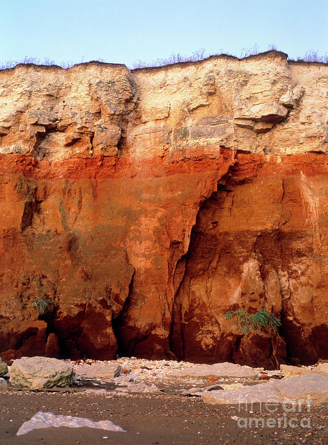 Rock Strata In Cliff Face Photograph by Simon Terrey/science Photo Library
