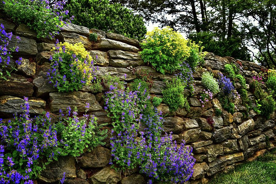 Rock Wall Flower Garden Photograph By James Defazio