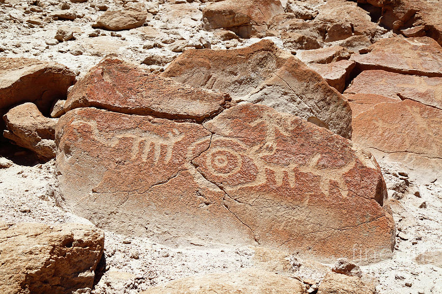 Rock with Petroglyphs Detail Ofragia Chile Photograph by James Brunker