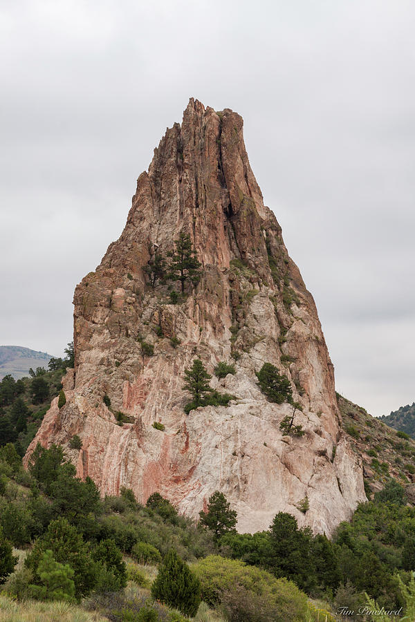 Rock with trees growing up its ledges by Timothy Pinckard Rock with trees growing up its ledges by Timothy Pinckard