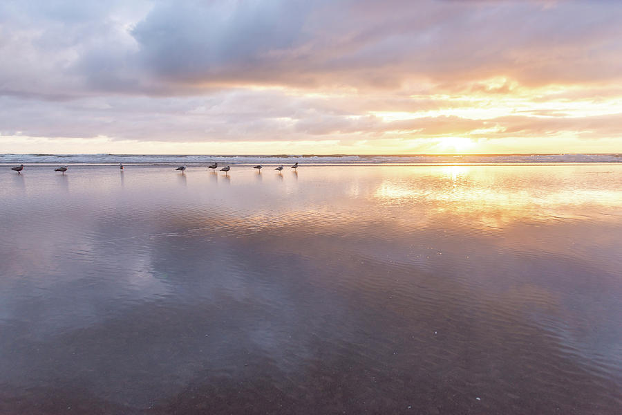 Rockaway Beach Sunset-June 2019 by Johanna Froese Rockaway Beach Sunset-June 2019 by Johanna Froese