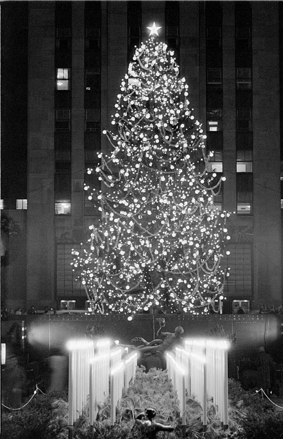 Rockefeller Christmas Tree Digital Art by LIFE Picture Collection