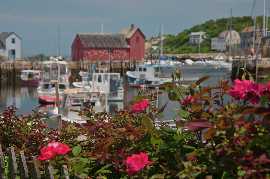 Rockport Motif No 1 - Rockport Harbor by Joann Vitali Rockport Motif No 1 - Rockport Harbor by Joann Vitali