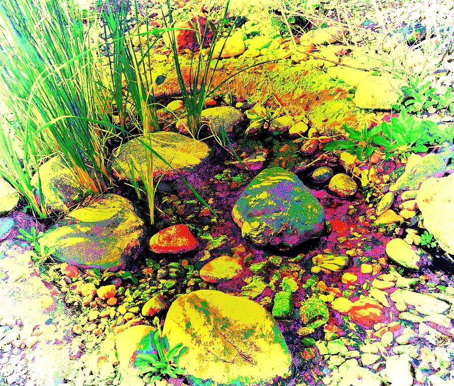 Rocks and Reeds Photograph by Debra Grace Addison