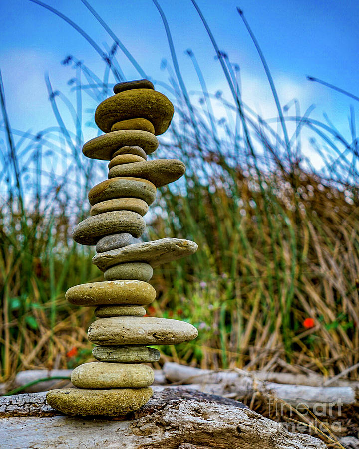 Rocks and Reeds Pyrography by Joseph Krzywonski - Pixels