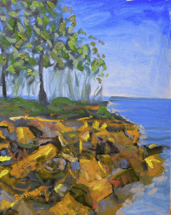 Rocks and Trees Painting by Michael Daniels