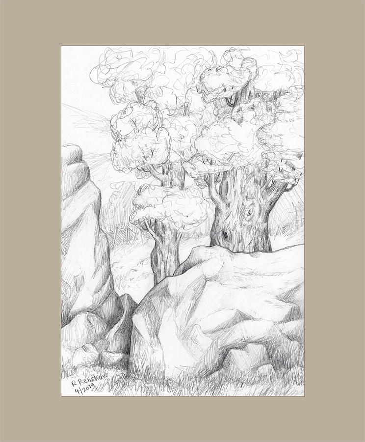 Nature Drawing - Rocks and Trees by Ruth Renshaw
