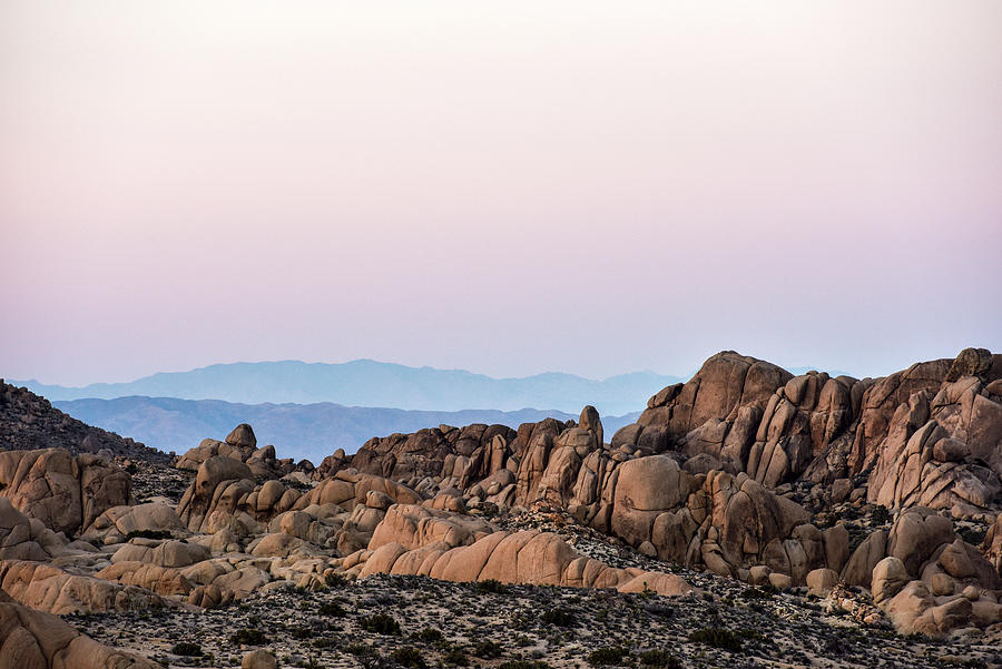 Rocks At Sunset In Joshua Tree Nationalpark, California, Usa, America Photograph by Markus Hertrich