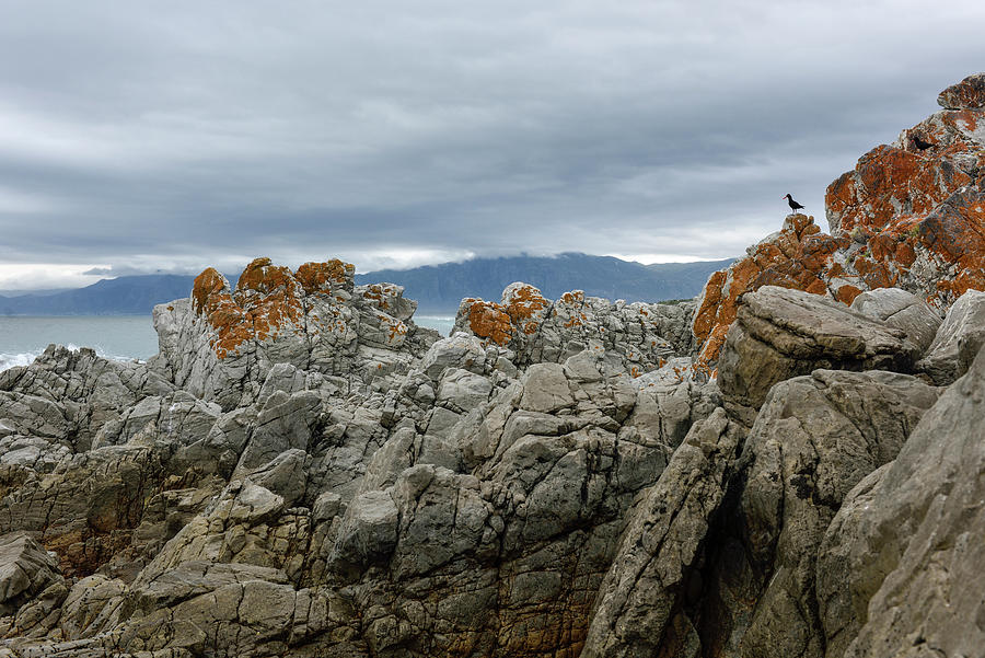 Rocks At Walker Bay Nature Reserve, Gansbaai, Western Cape, South ...