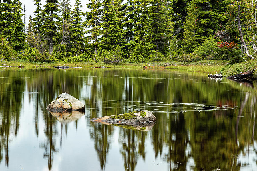 Rocks In A Mountain Pond Photograph by Claude Dalley