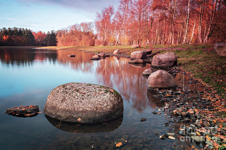 Rocks in forest pond Photograph by Sophie McAulay