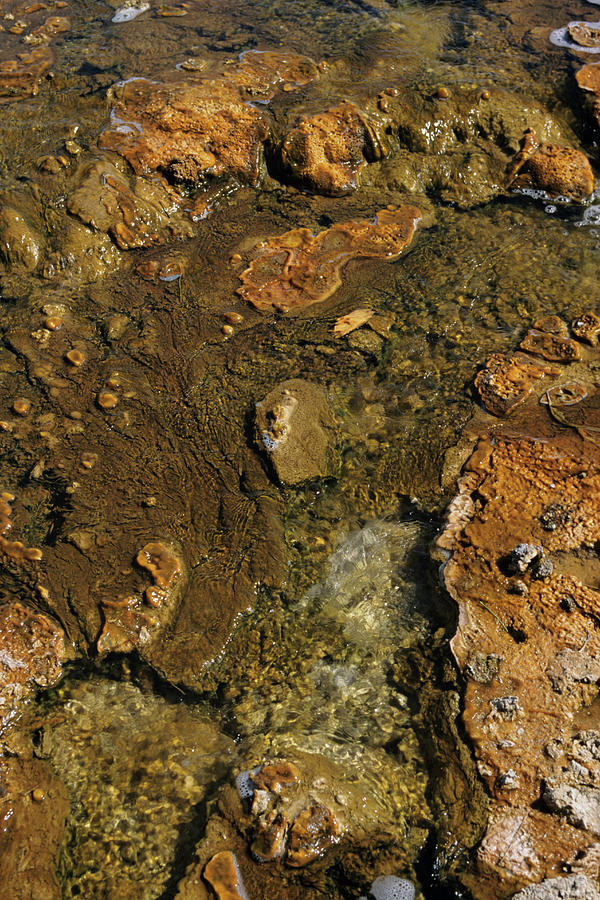 Rocks In Shallow Water, Yellowstone Photograph by Karl Weatherly