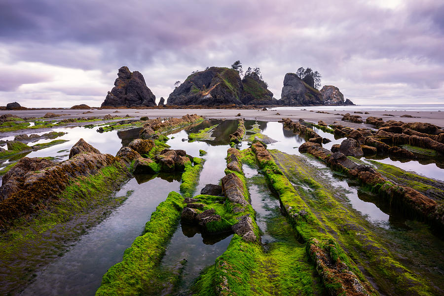 Rocks Near The Sea Photograph by Herbert Rong