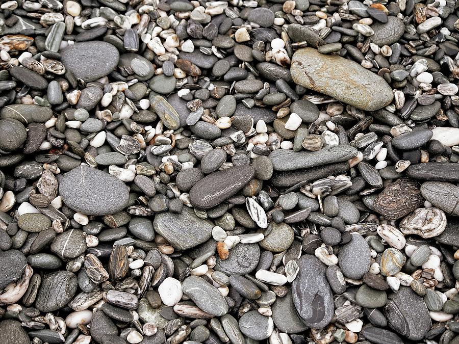 Rocks on Beach - New Zealand Photograph by Steven Ralser