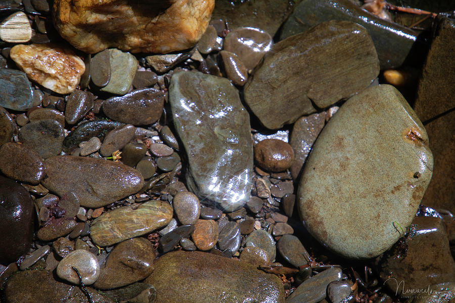 Rocks on Rhododendron Creek Photograph by Nunweiler Photography