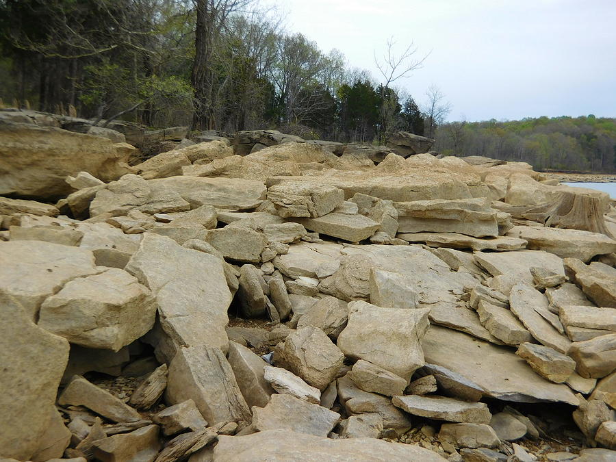 Rocks Photograph - Rocks by Stacey Wells Rocks Photograph - Rocks by Stacey Wells