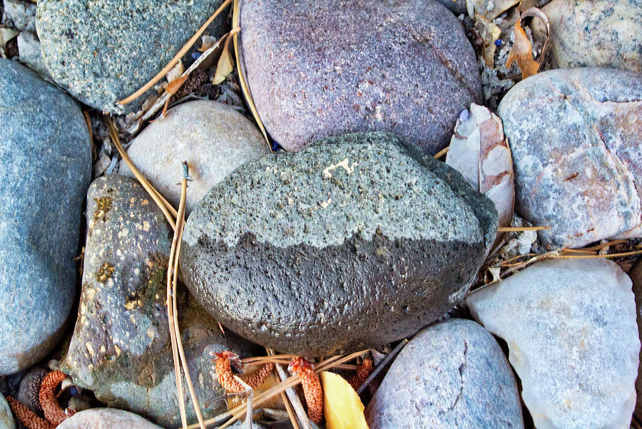 Rocks with Overtones of purple and blue Photograph by Segura Shaw Photography