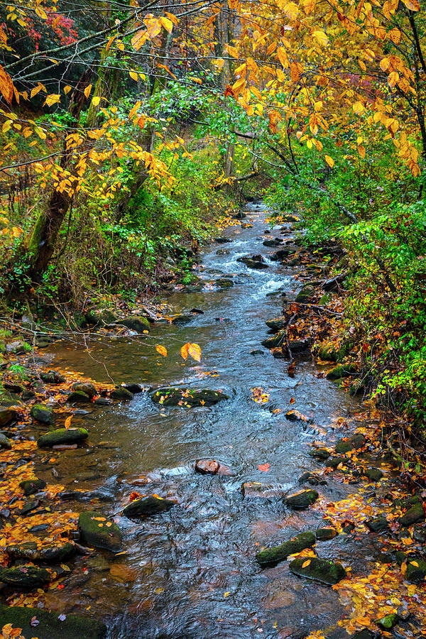 Rocky Autumn Stream Photograph by Debra and Dave Vanderlaan