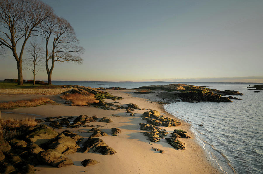 Rocky Beach Photograph by Diana Lee Angstadt