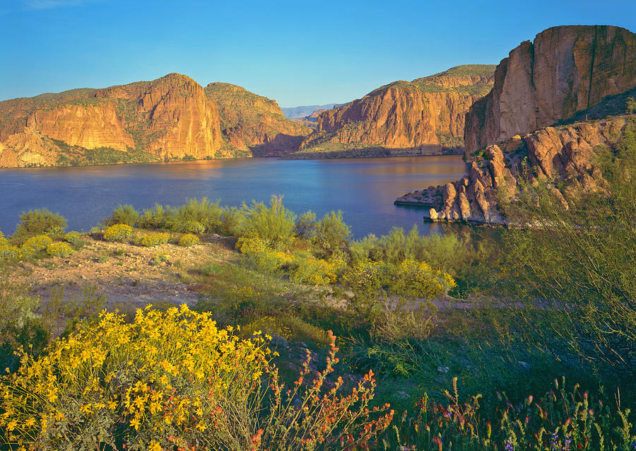Rocky Cliffs And Shores Of Arizona In Photograph by Ron thomas