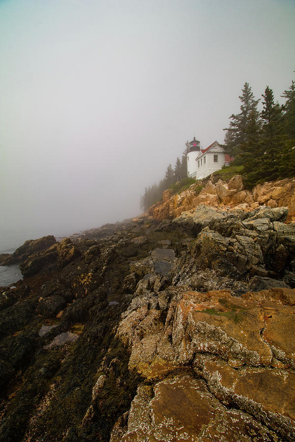 Rocky Coast at Bass Harbor Lighthouse Maine Photograph by Jeff Folger