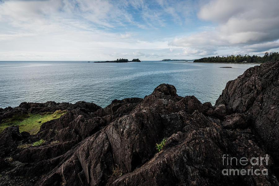Rocky Coastline Photograph by Carrie Cole