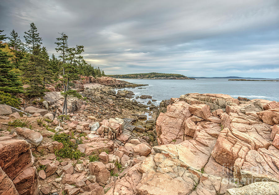 Rocky Maine Coast, Acadia National Park Photograph by Felix Lai