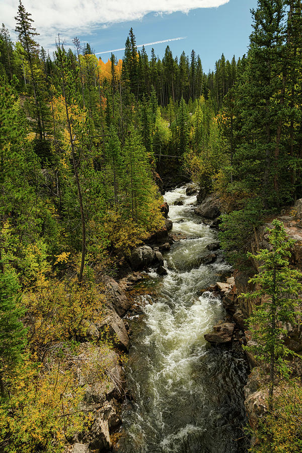 Rocky Mountain Autumn Stream Portrait  Photograph by James BO Insogna