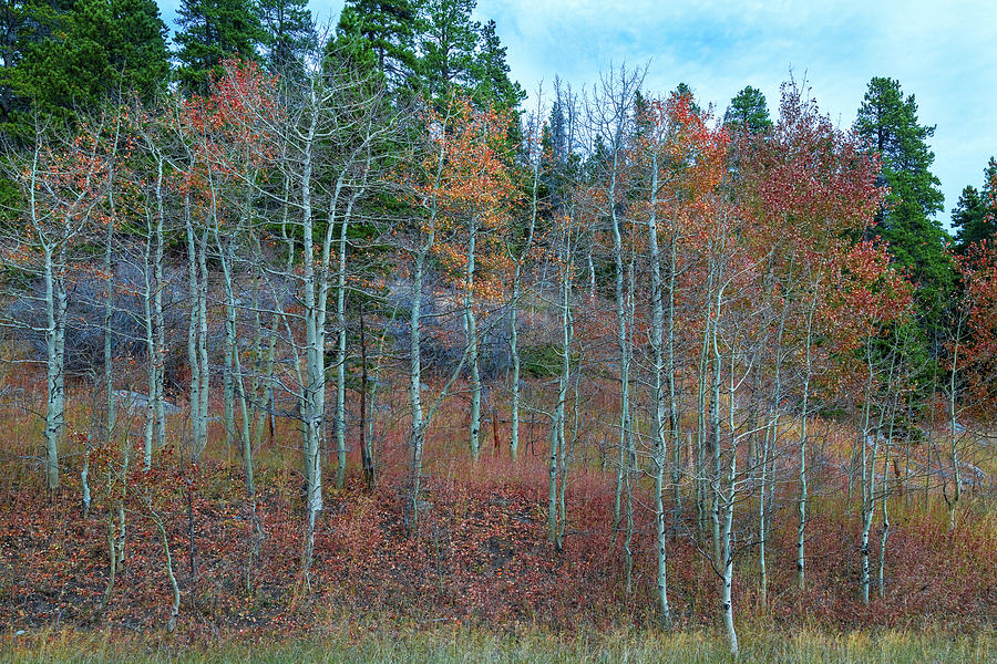 Rocky Mountain Countryside Photograph