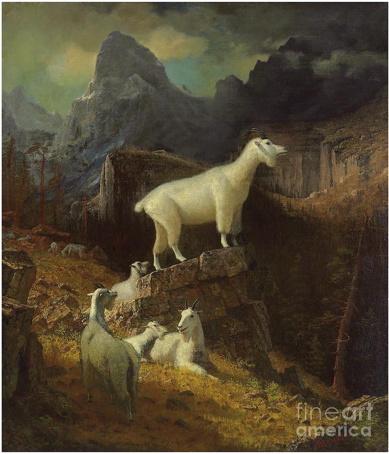 Rocky Mountain Goats, C.1885 Painting by Albert Bierstadt