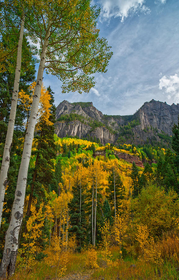 Rocky Mountain High Photograph by Tom Gresham