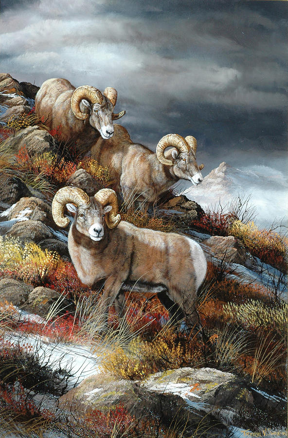 Rocky Mountain Kings Painting by Trevor V. Swanson Rocky Mountain Kings Painting by Trevor V. Swanson
