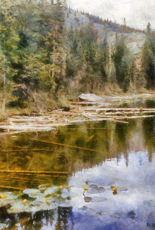 Rocky Mountain Lake with Lily Pads Digital Art by Michelle Calkins