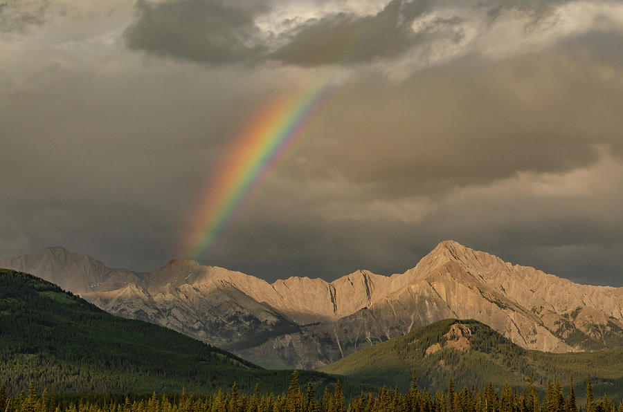Rocky Mountain Rainbow Photograph by Douglas Wielfaert