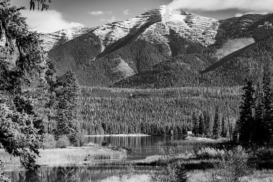 Tree Photograph - Rocky Mountain Serenity by Mountain Dreams