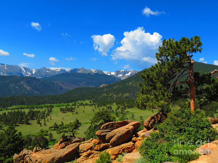 Rocky Mountain Vista Photograph by Aimee Mouw